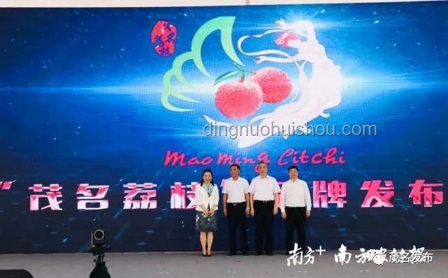《长安的荔枝》：历史、文化与产业的深度剖析